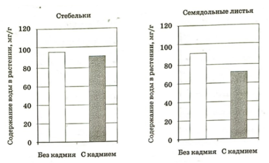Проанализируйте диаграмму, на которой представлено содержание воды в ...